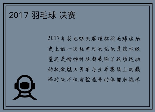 2017 羽毛球 决赛